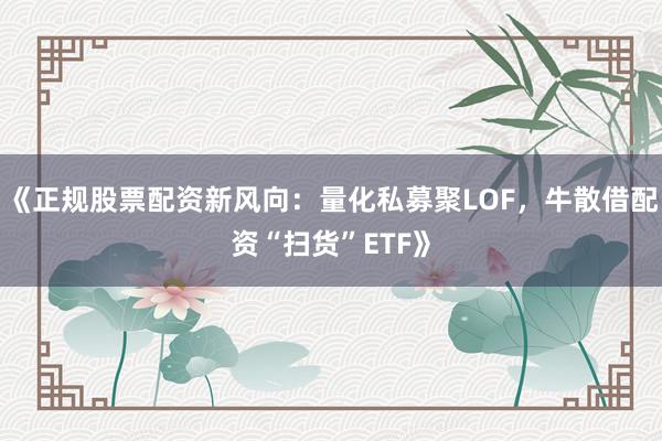 《正规股票配资新风向:量化私募聚LOF,牛散借配资“扫货”ETF》