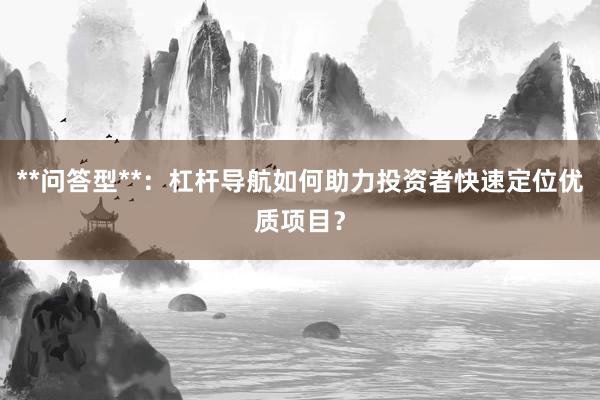 **问答型**:杠杆导航如何助力投资者快速定位优质项目?