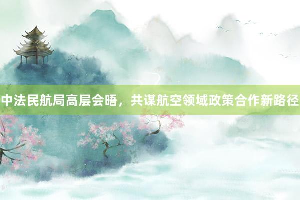 中法民航局高层会晤,共谋航空领域政策合作新路径