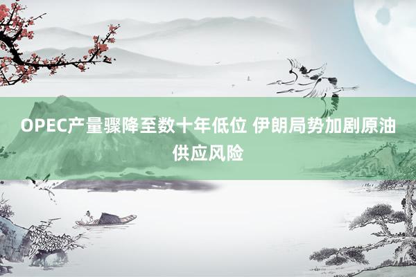 OPEC产量骤降至数十年低位 伊朗局势加剧原油供应风险