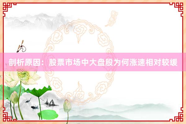剖析原因:股票市场中大盘股为何涨速相对较缓