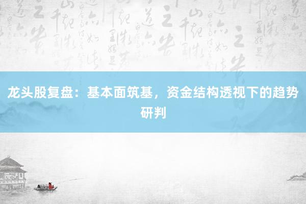 龙头股复盘:基本面筑基,资金结构透视下的趋势研判