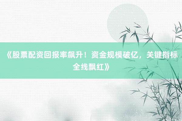 《股票配资回报率飙升！资金规模破亿，关键指标全线飘红》