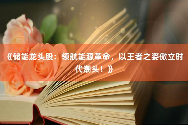 《储能龙头股：领航能源革命，以王者之姿傲立时代潮头！》