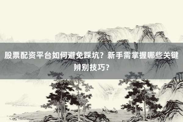 股票配资平台如何避免踩坑？新手需掌握哪些关键辨别技巧？