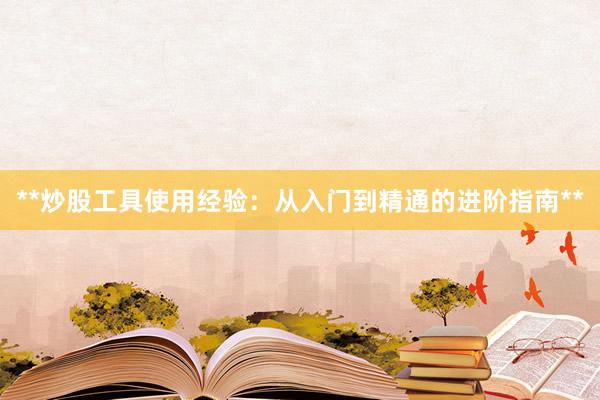 **炒股工具使用经验：从入门到精通的进阶指南**
